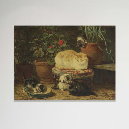 Gatos Jugando - Henriëtte Ronner-Knip (Canvas)