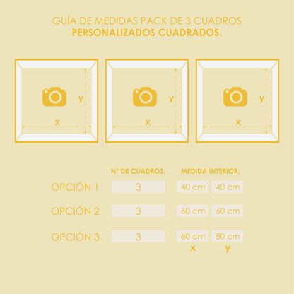 Pack 3 Cuadros Enmarcados Personalizados (Cuadrados)